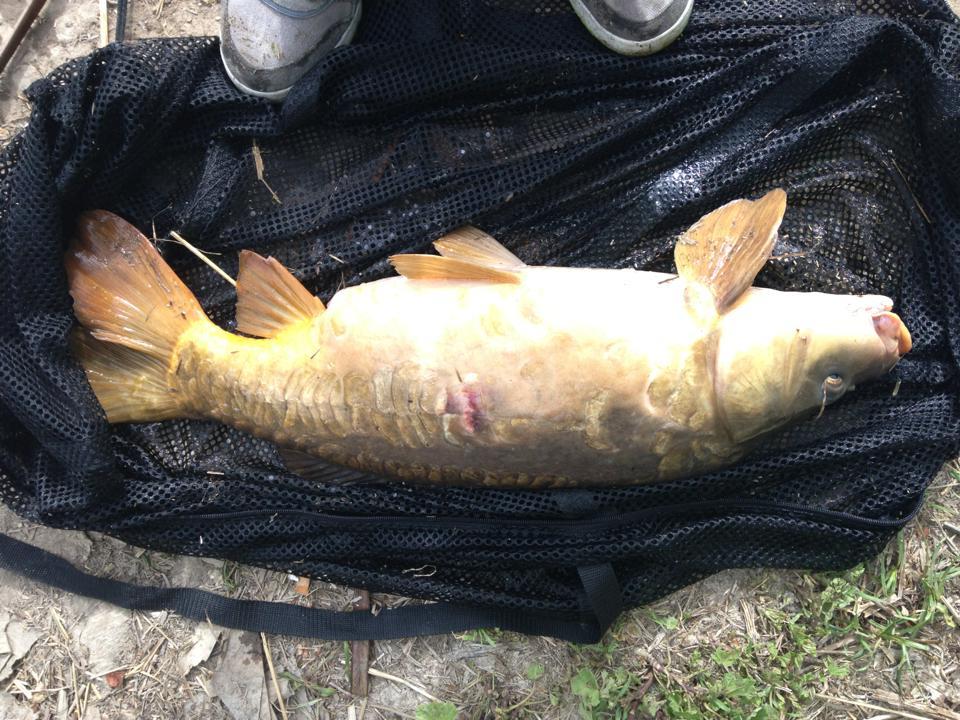 SENZOR PLANET SPAIN - snz-spania-3.jpg